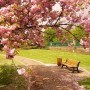 Pourquoi sommes-nous plus heureux au printemps