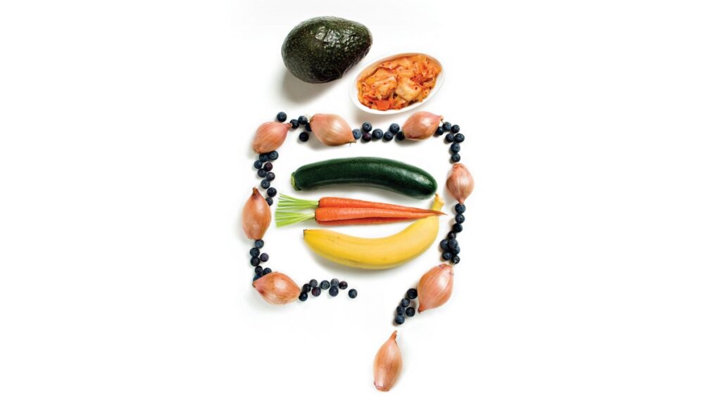 Gardez votre intestin en bonne santé : votre microbiome détermine votre âge