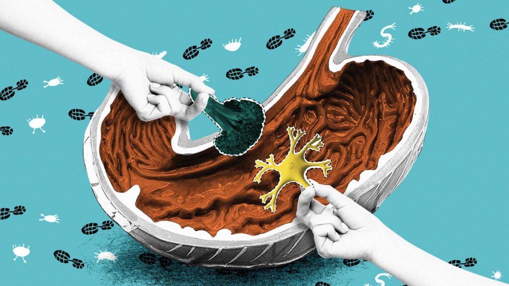 Guérissez votre intestin, guérissez votre esprit