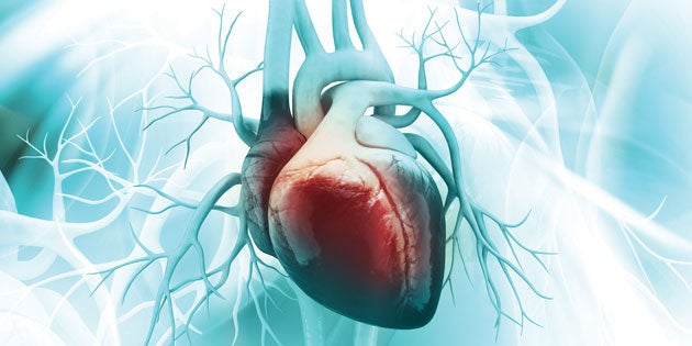 Nous aimons le coeur