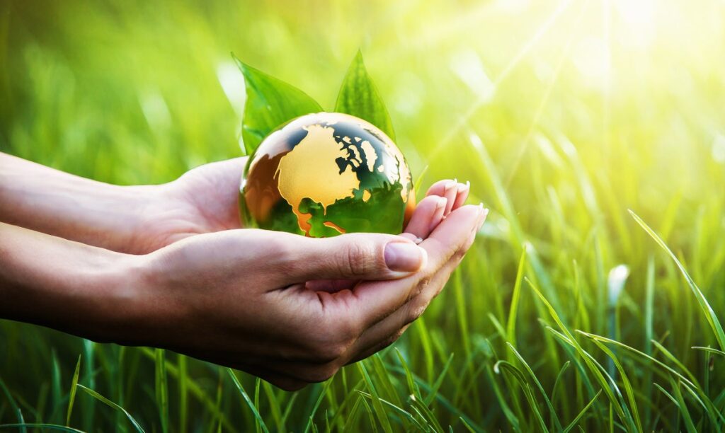 Nous vous avons rendu neutre en carbone