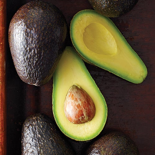 Tout sur les avocats Tout sur les avocats