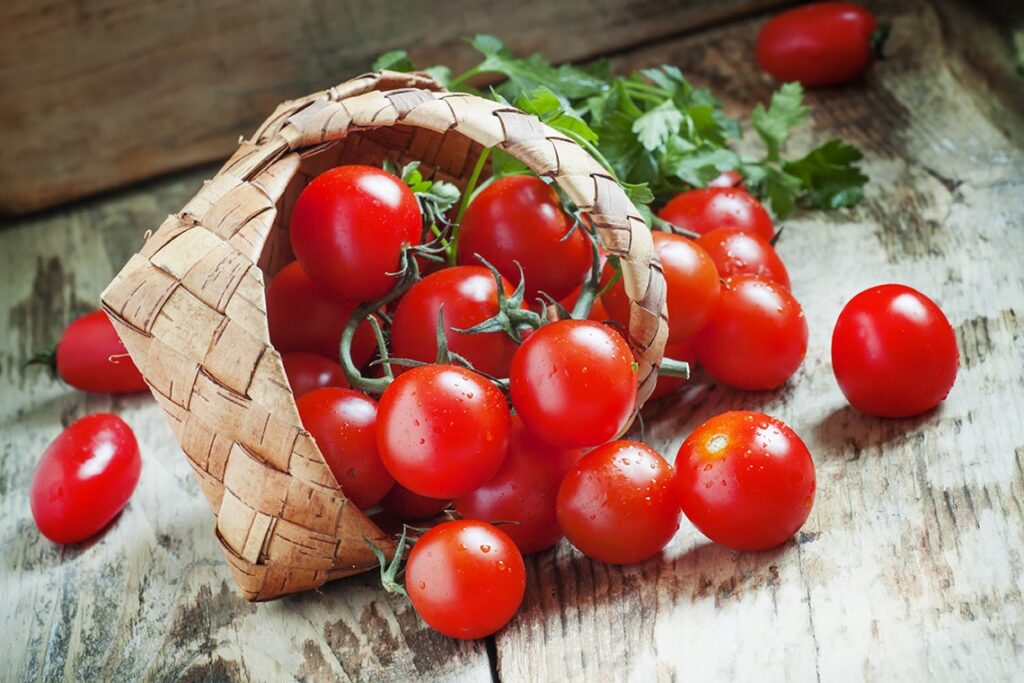 Tout sur les tomates