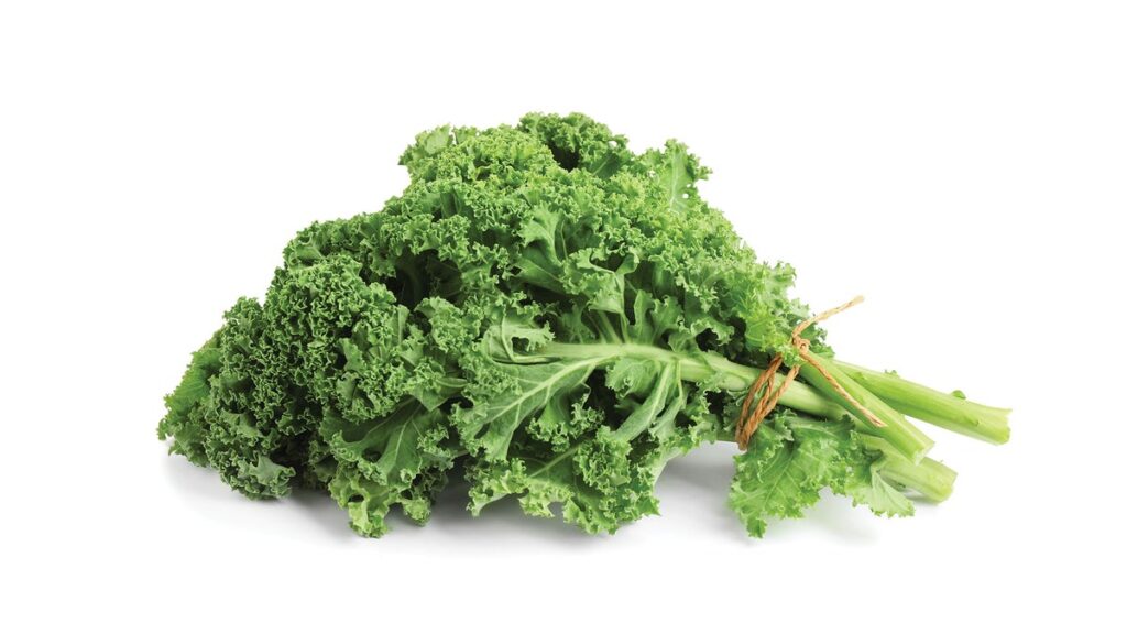 Ajoutez la rétention de la masse musculaire au long CV de la vitamine C