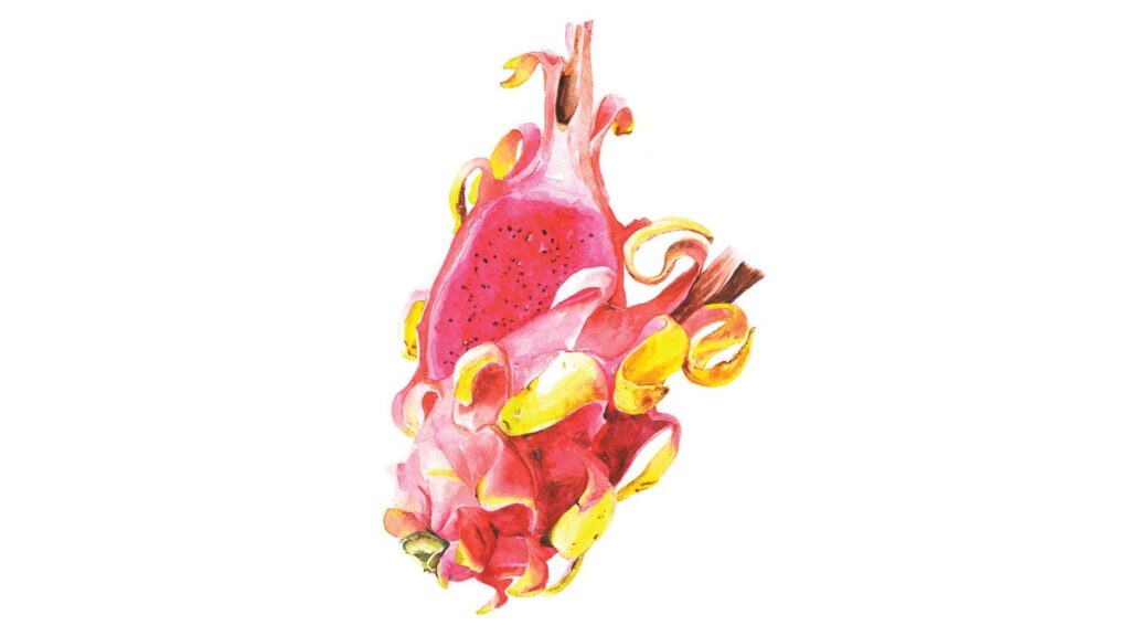 La cuillère de cuisine