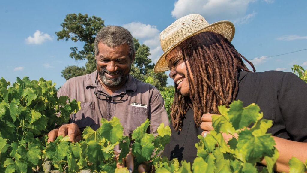La cuisine cultivée