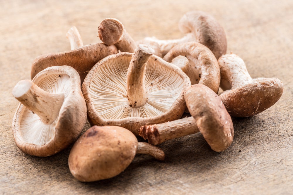 Le pouvoir des champignons médicinaux