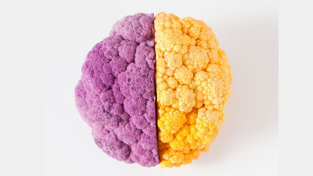 15 aliments pour aider à vaincre le brouillard cérébral