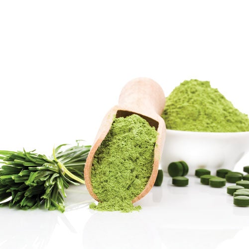 Les algues peuvent-elles vous aider à mieux vieillir ?