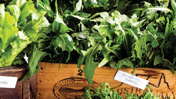 Pourquoi devriez-vous manger plus de plantes