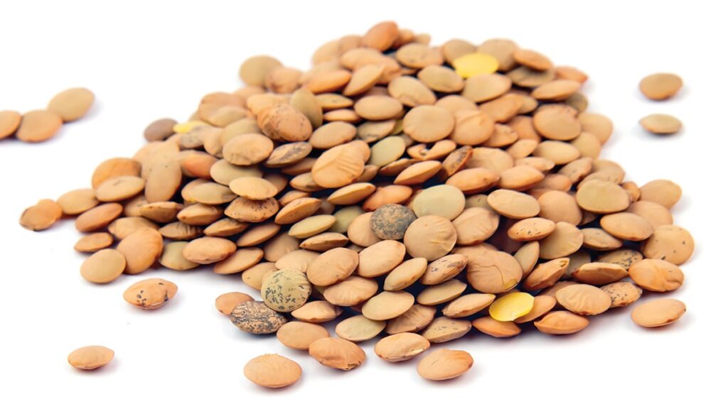 Qu'est-ce que l'amidon résistant ?