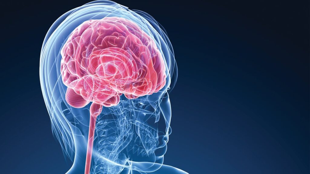 9 stimulants cérébraux incroyables à ajouter à votre alimentation