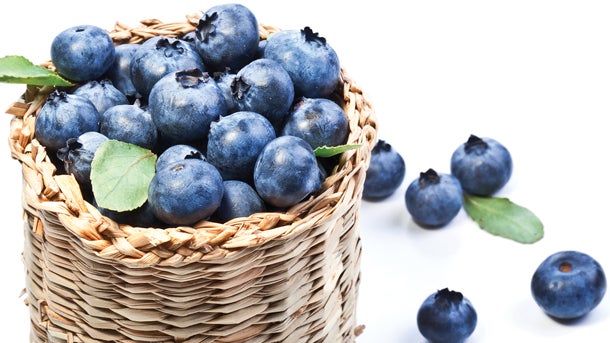 Baies stimulantes pour le cerveau