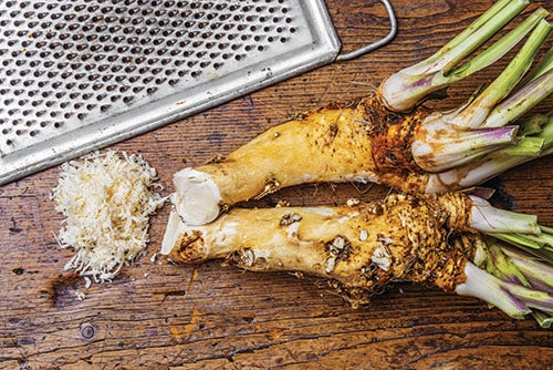 Cousin impertinent du chou : raifort fougueux