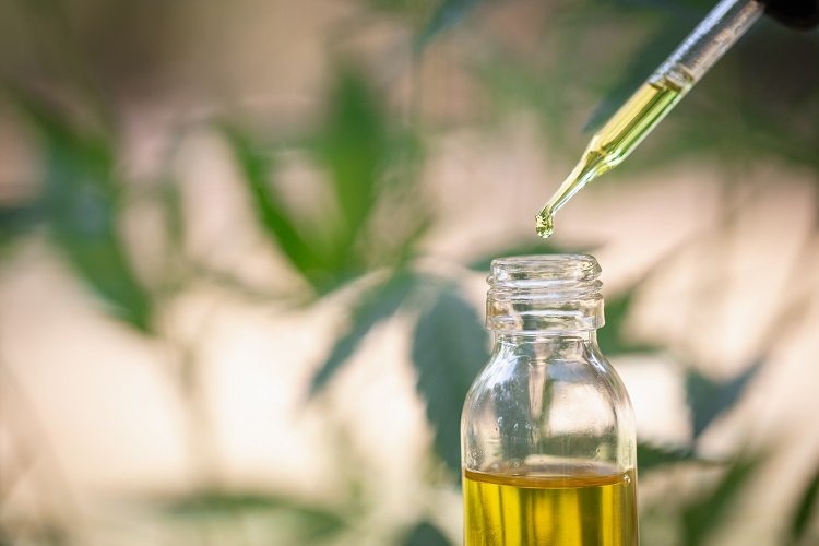 Les nouvelles tendances bien-être comment le CBD s’inscrit dans une approche globale de la santé